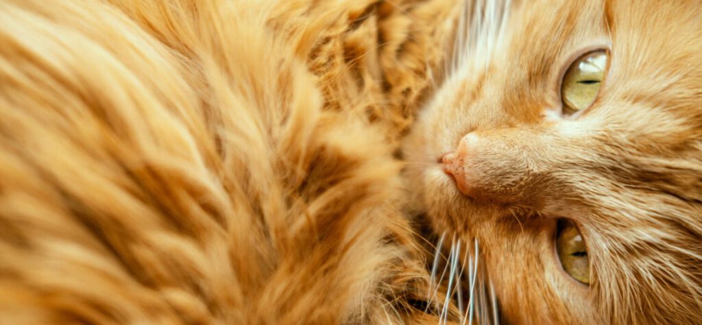 cropped nataliya smirnova rayvpOMVwJM unsplash scaled 1 elementar magazin